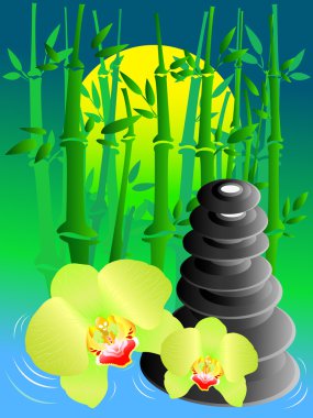 Bambu ve orkide ile sakin manzara