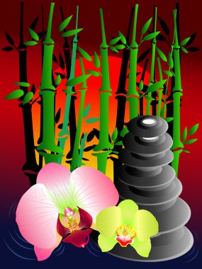 Bambu ve orkide ile sakin manzara