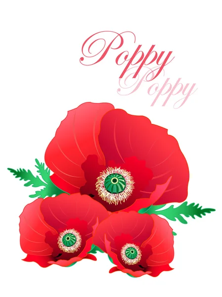 Cartão de felicitações Poppy — Vetor de Stock