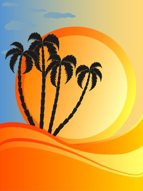 Tropikal dalga, sunset ve palmtrees
