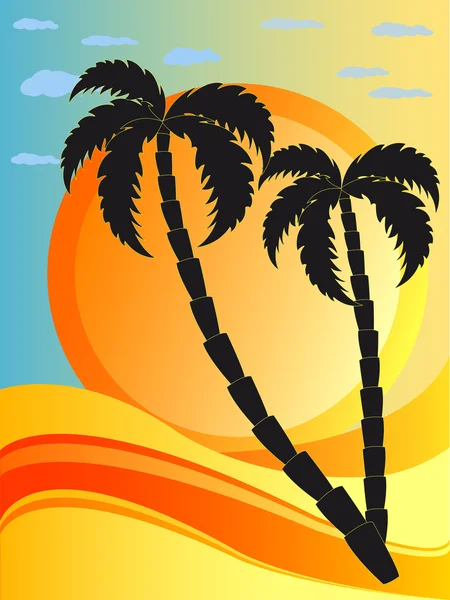 Tropikal dalga, sunset ve palmtrees