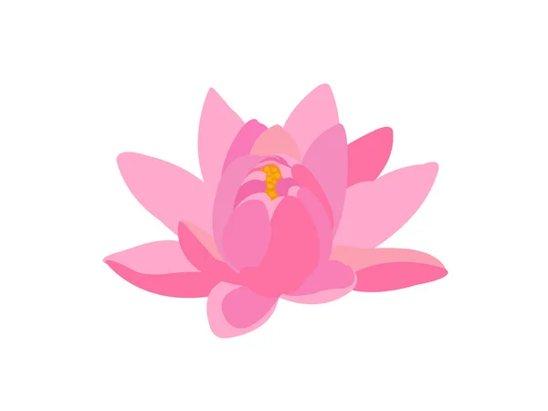 아름다운 연꽃 — 스톡 벡터