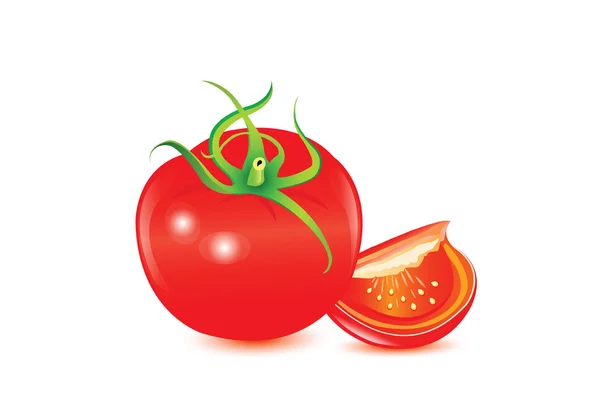 Illustration der reife Tomate — Stockvektor