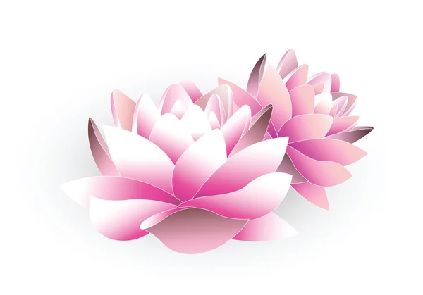 Hermosa flor de loto — Archivo Imágenes Vectoriales