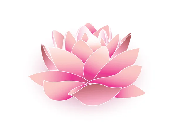 Квітка лотоса красиві — стоковий вектор