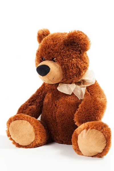 Teddy bears — Stock Photo, Image