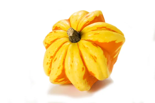 Pumpkin — Stock Photo, Image