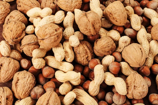 Variety of nuts — Stock Photo, Image