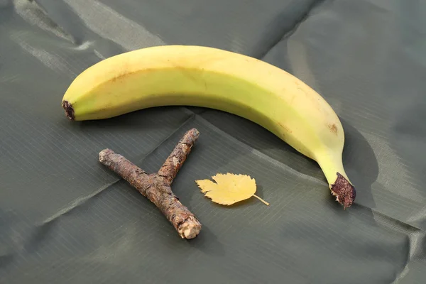 stick, yellow leaf and banana lie together in the sun
