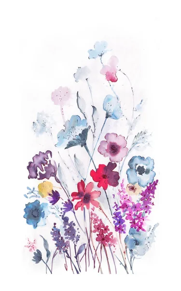 สาขาศ ลปะท สวยงามของดอกไม บนพ นหล ขาว — ภาพถ่ายสต็อก
