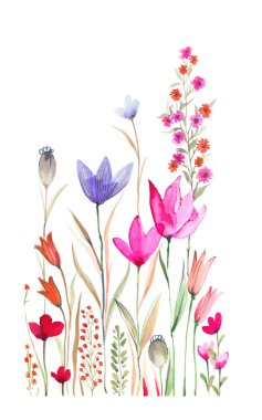 Beyaz arka planda güzel bir çiçek dalı