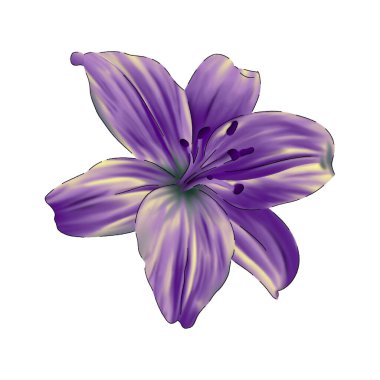 BÜYÜK GÖREVLİ ÇİFTLİK İSTİYOR 