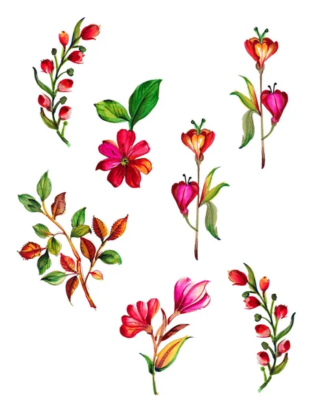 Zestaw Watercolor Hand Painted Colorful Motif Art Work — Zdjęcie stockowe