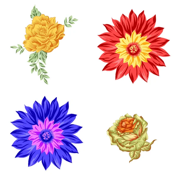 Dört Dijital Çiçek Sanatı Seti — Stok fotoğraf