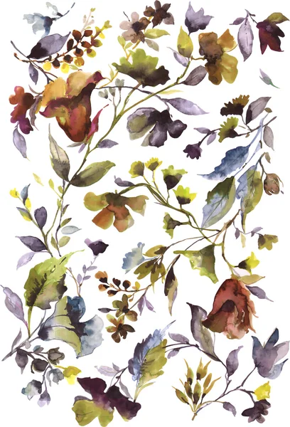 Akvarell blomma — Stockfoto