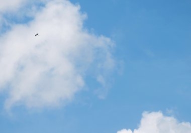 fotoğraf görüntüleri