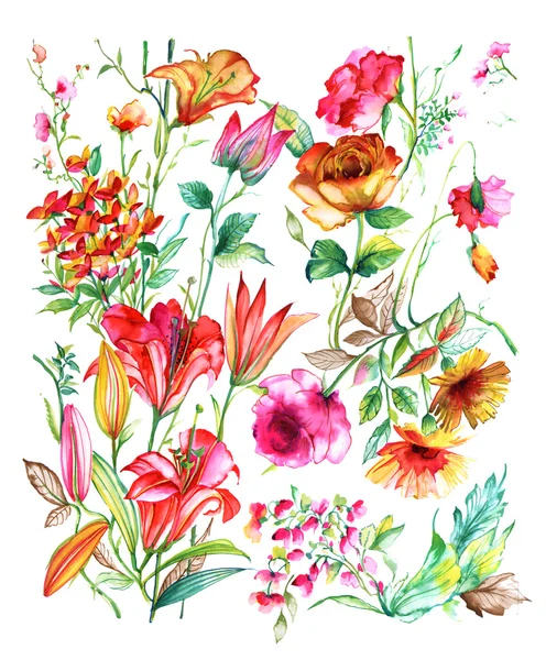 Naadloze aquarel patroon, flora tropische bloemen — Stockfoto