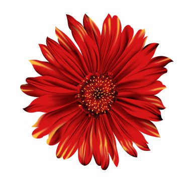 Yapay renk artwrok tek çiçek