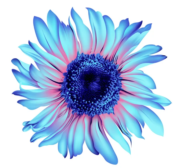 Pojedynczy kwiat sztuczny kolor artwrok — Wektor stockowy