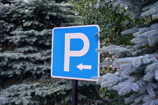 Parktaki park levhası. arkaplan Ladini