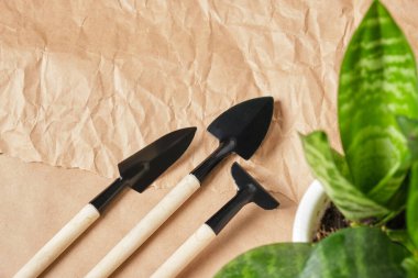 Sansevieria ve çiçekçilik aletleri Ab kürek, tırmık, kepçe, tahta saplı metal alet Kraft kağıt arka planda