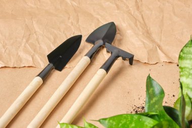 Sansevieria ve çiçekçilik aletleri Ab kürek, tırmık, kepçe, tahta saplı metal alet Kraft kağıt arka planda