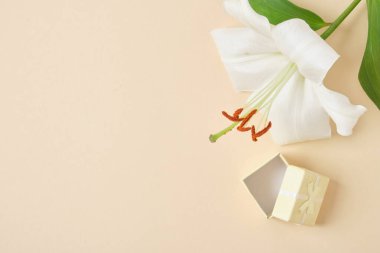 Zambak çiçeği ve bej arkaplan modayı üzerinde küçük sarı hediye kutusu boşluk kopyala