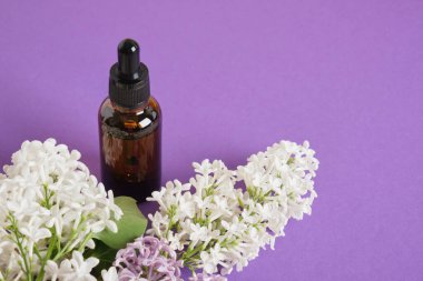 Kozmetik yağlar veya serumlar için kahverengi bir şişe ve parlak mor arka planda beyaz leylak yüz ve vücut bakımı için doğal kozmetik ürünler. Boşluğu kopyala