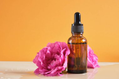 Pembe kalça çiçekleri ve bej arka planda pipeti olan kahverengi cam şişe, ıslak arka planda kozmetik yağı veya serumu için doğal kozmetik konsepti olan bir şişe.