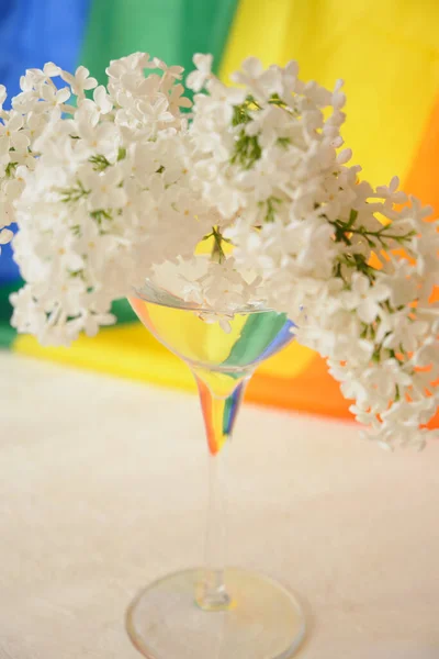 Ruban Arc Ciel Lgbt Bouquet Lilas Blanc Verre Symbole Ruban — Photo