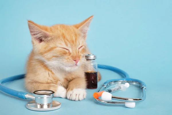 sleeping cute ginger kitten, stethoscope, insulin syringe and medicine in injection bottle on blue background, animal vaccination and treatment concept vet clinic concept