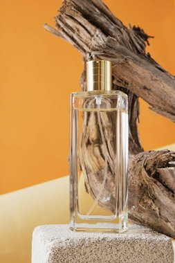 Beton bir podyumda cam bir parfüm şişesi, arka planda sürüklenen dallar, doğal gölgeler
