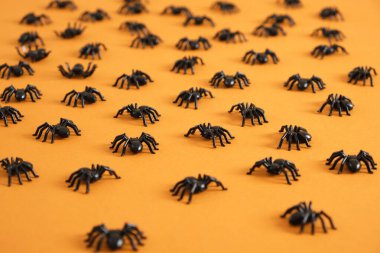 Turuncu arka planda siyah plastik örümceklerin deseni. Cadılar Bayramı. Şeker mi şaka mı konsepti. Üst Manzara. Mutlu Cadılar Bayramı