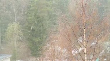 Pencerenin dışına kar yağar, seçici odak, ilkbahar karı, ormanın arka planına ilk kar yağışı
