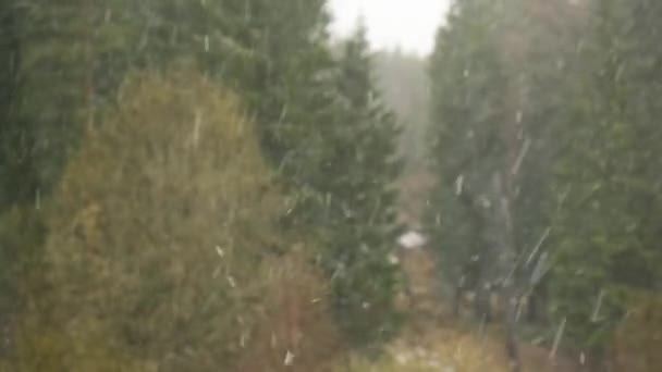 雪は窓の外に落ち選択的集中春雪は森の中で初の雪 — ストック動画