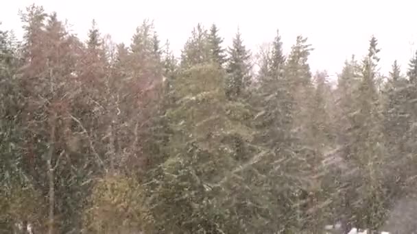 Snö Faller Utanför Fönstret Selektivt Fokus Vår Snö Första Snö — Stockvideo