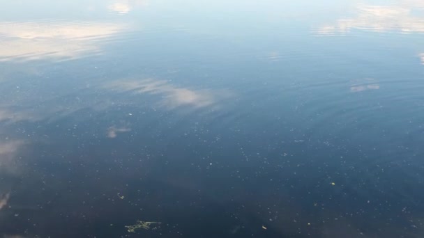 Seeoberfläche mit Reflexion von Wolken und fliegenden Vögeln — Stockvideo