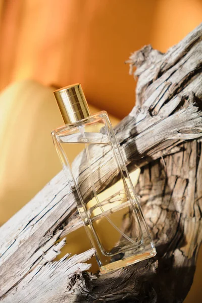 Glass Bottle Perfume Driftwood Natural Shade Background Perfume Woody Notes — Stock Photo, Image