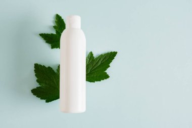 Kozmetik ürünleri için beyaz klasik şişe, kozmetik kabı ve açık mavi arka planda taze ağaç yaprakları, etiketsiz beyaz, üst görünüm sahte.