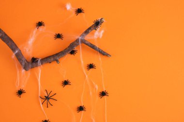 Cadılar Bayramı dekorasyon konsepti, dekoratif örümcek ağı ve turuncu arka planda siyah örümcekler, cadılar bayramı arkaplanı