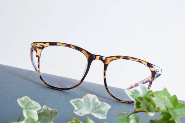 Óculos Olho Folhas Flores Papel Enrolado Cinza Escuro Óculos Moda — Fotografia de Stock