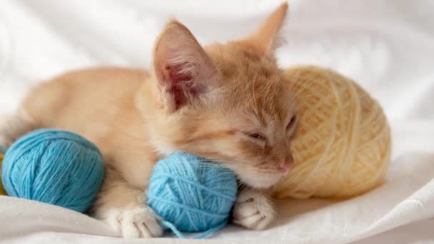 Söt ingefära katt och olika färgade bollar av tråd på bakgrunden sängen linne, kattungen vilar efter att ha spelat — Stockvideo