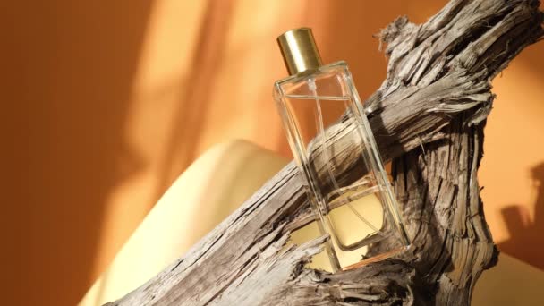 Bouteille de parfum en verre sur bois flotté, fond d'ombre naturelle — Video