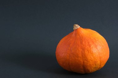 Koyu yeşil arka planda balkabağı sonbahar, sonbahar mevsimi konsepti