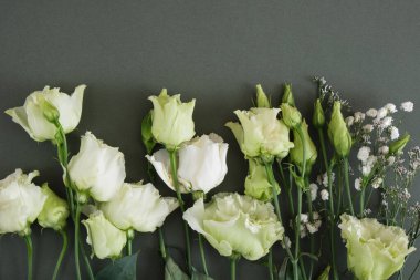 Koyu yeşil arkaplanda limon beyaz ve yeşil güller, kartpostal, kopya alanı, üst görünüm, düz yatış