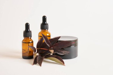 Kehribar cam şişeler, yağ ve serum için içecekler ve siyah krema kavanozu, bej arka planda kırmızı yapraklı bir dal, fotokopi alanı, kozmetik arka plan