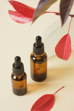 Kehribar cam şişeler yağ ve serum için içecekler ve bej arka planda kırmızı dökümlü bir dal, fotokopi alanı, kozmetik sonbahar arka planı