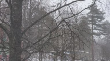 Şehre kar yağışı, pencereden manzara. Kar yığınları. Karlı ağaçlar, arabalar, binalar ve yol seçici odak noktası