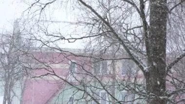 Şehre kar yağışı, pencereden manzara. Kar yığınları. Karlı ağaçlar, arabalar, binalar ve yol seçici odak noktası