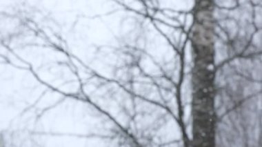 Şehre kar yağışı, pencereden manzara. Kar yığınları. Karlı ağaçlar, arabalar, binalar ve yol seçici odak noktası